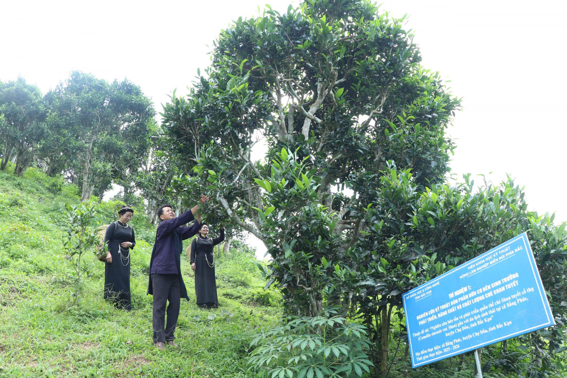 Thái Nguyên