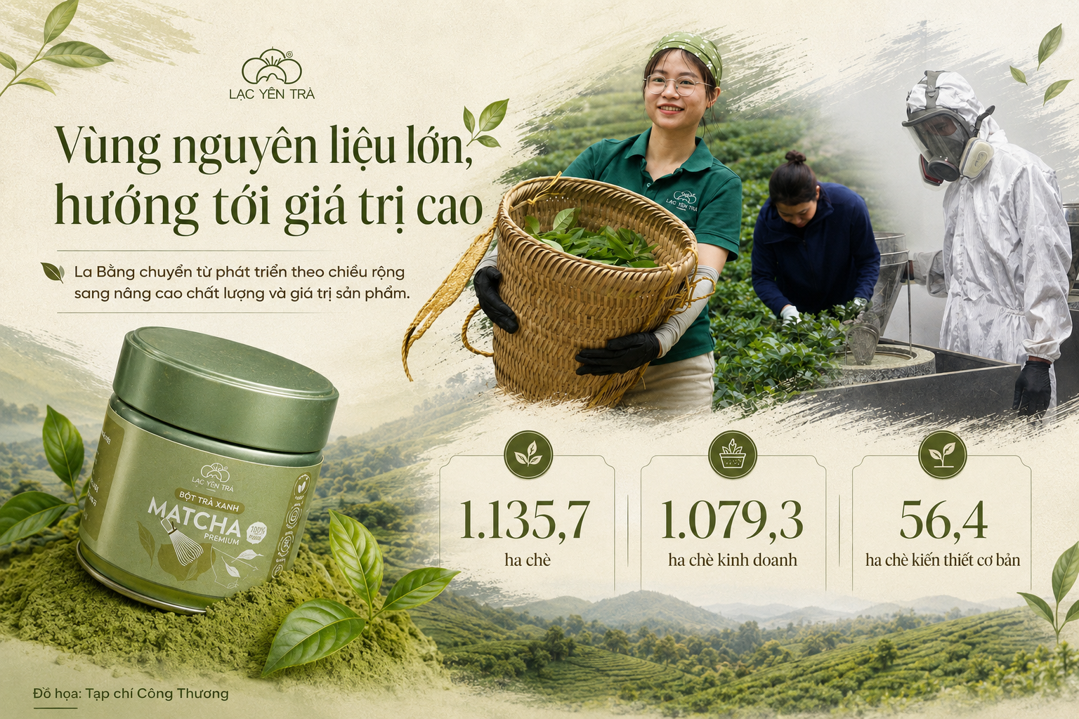 Thái Nguyên