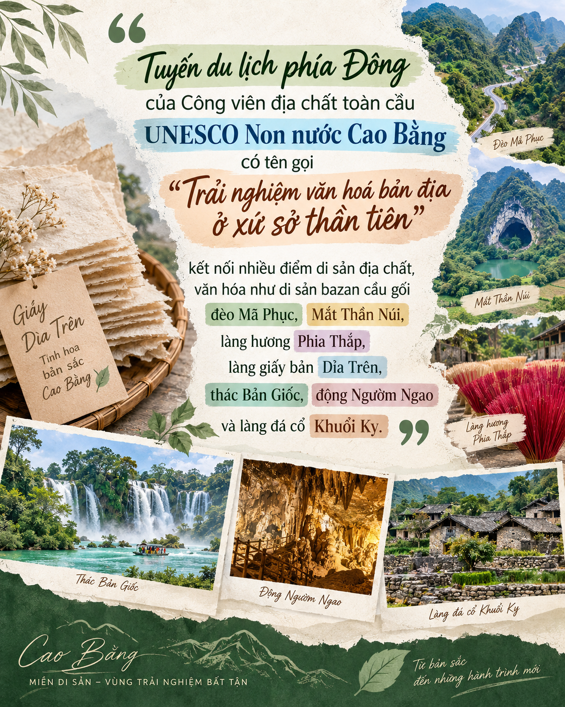 giấy Dìa Trên