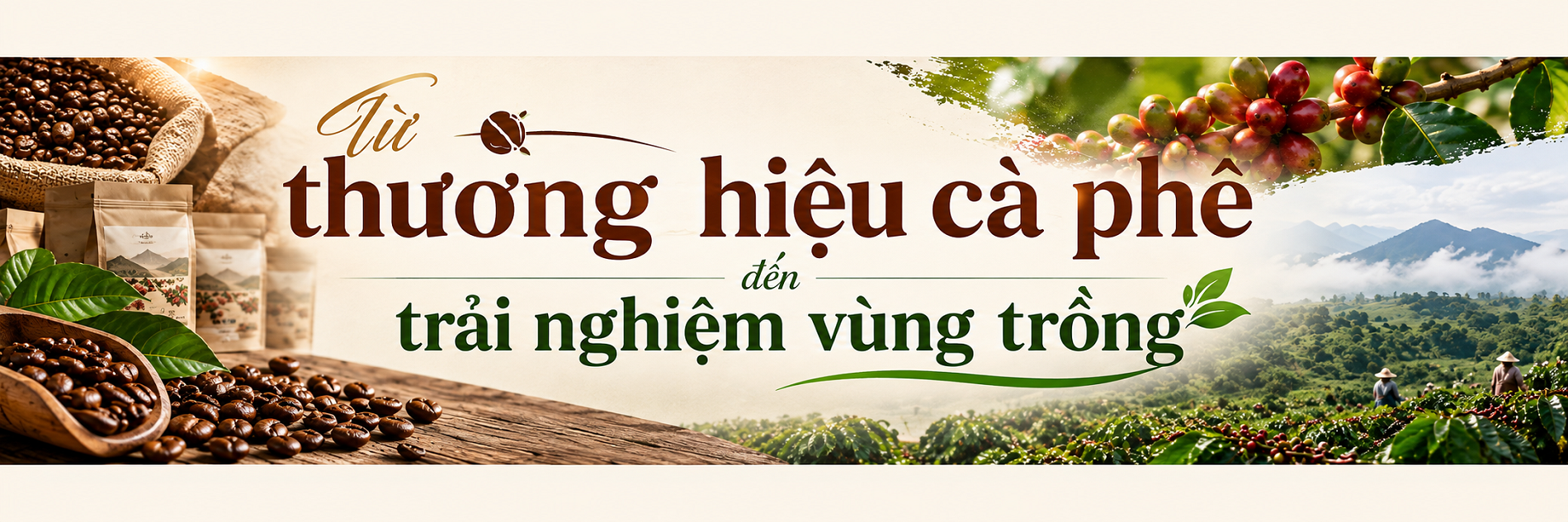 cà phê Arabica