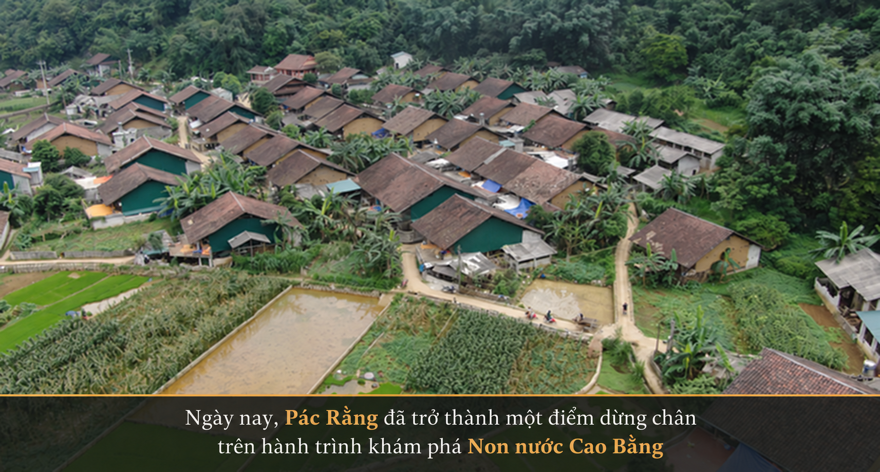 dao Phúc Sen