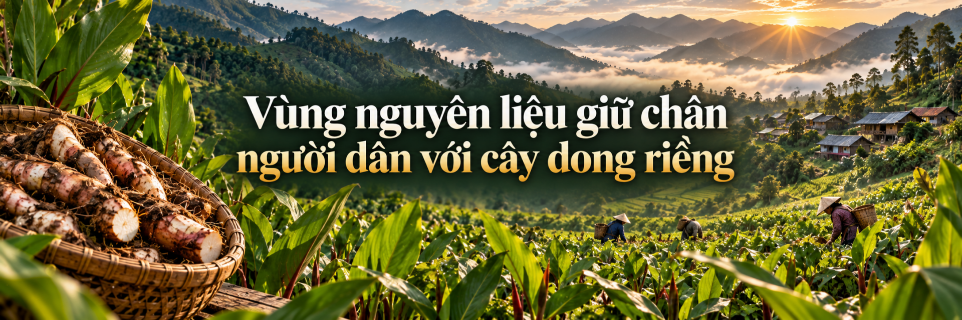 Miến dong Bình Liêu: Từ đặc sản vùng cao đến thị trường quốc tế