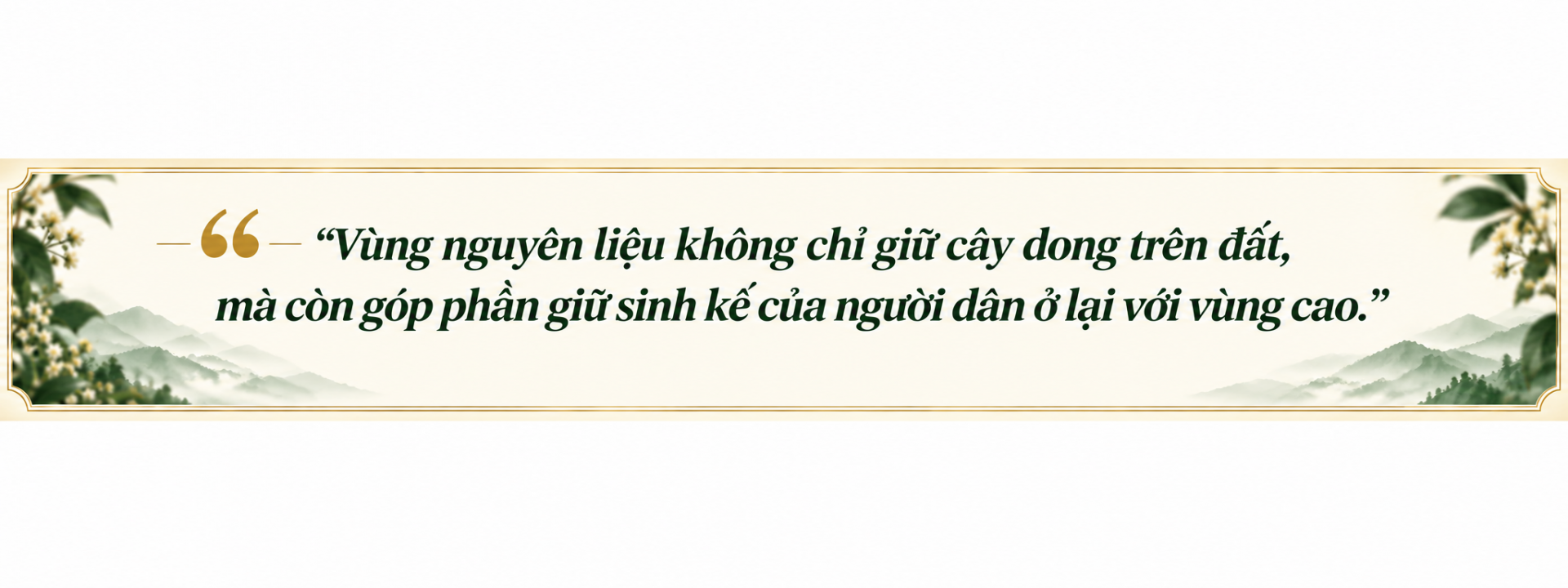 Miến dong Bình Liêu: Từ đặc sản vùng cao đến thị trường quốc tế