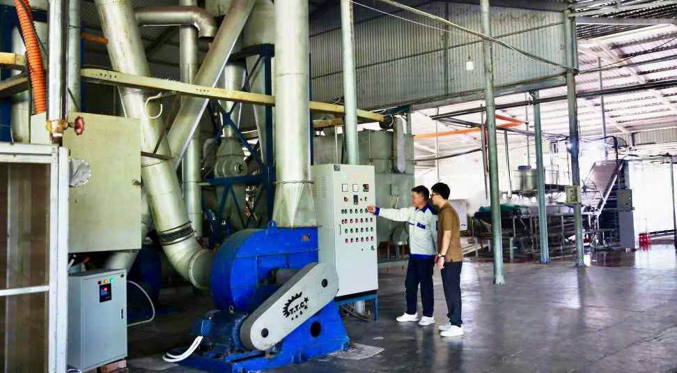 miến dong Bình Liêu